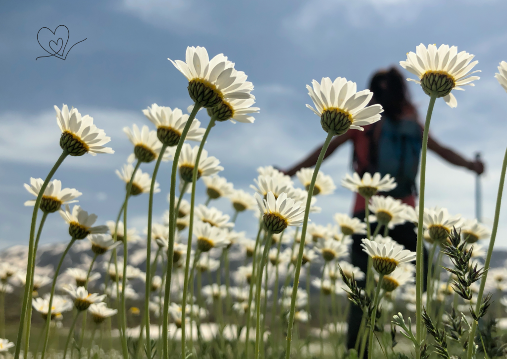 A woman hiking through a field of daisies, symbolizing taking small steps toward rediscovering joy and finding peace in simple, mindful actions